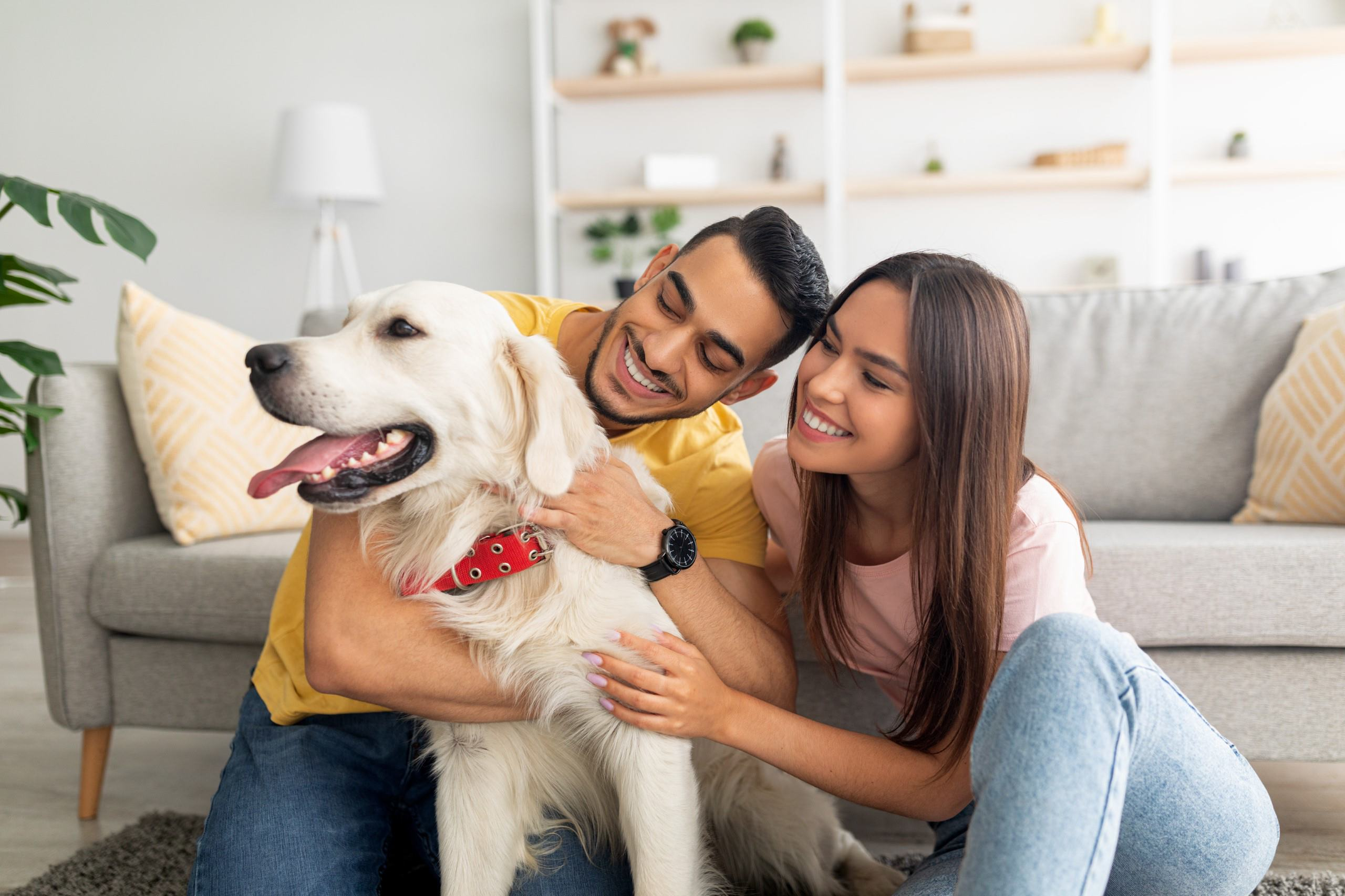 Pet Friendly Apartments | Melody on Main in Mesa, AZ